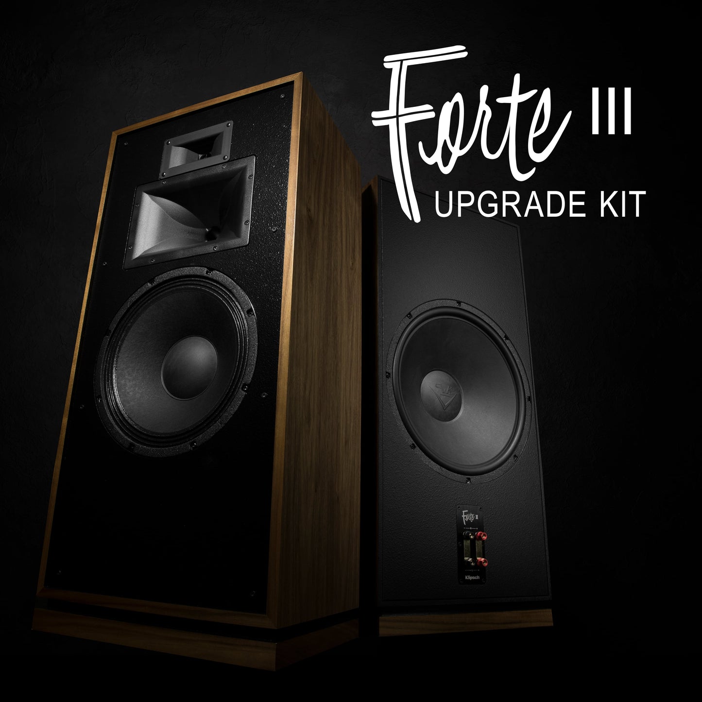 Forte 3 to Forte 4 upgrade kit - per speaker